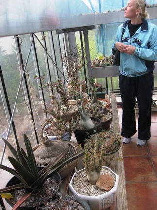 Выставка 1 мая 2009 (Донецк)