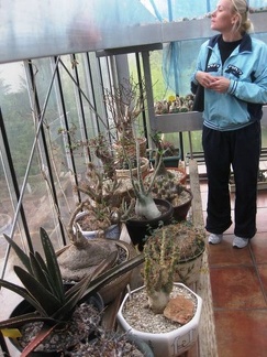 Выставка 1 мая 2009 (Донецк)