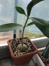 Выставка 1 мая 2009 (Донецк)