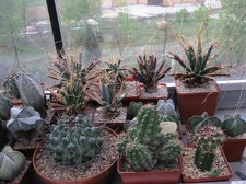 Выставка 1 мая 2009 (Донецк)