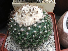 Выставка 1 мая 2009 (Донецк)