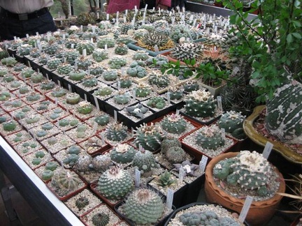 Выставка 1 мая 2009 (Донецк)