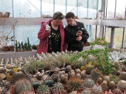 Выставка 1 мая 2009 (Донецк)