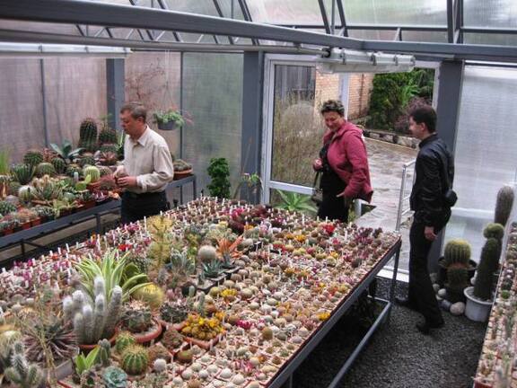 Выставка 1 мая 2009 (Донецк)