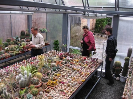 Выставка 1 мая 2009 (Донецк)