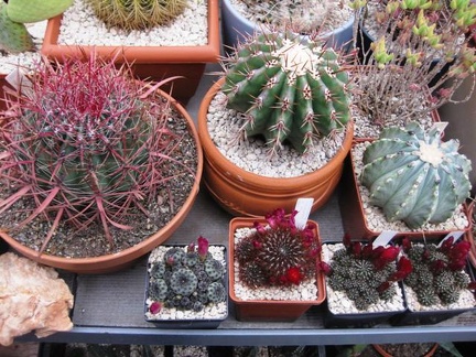 Выставка 1 мая 2009 (Донецк)