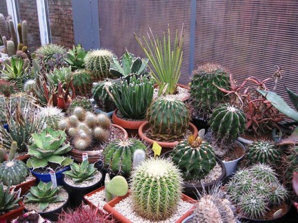 Выставка 1 мая 2009 (Донецк)