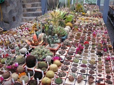 Выставка 1 мая 2009 (Донецк)