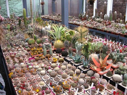 Выставка 1 мая 2009 (Донецк)