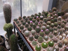 Выставка 1 мая 2009 (Донецк)