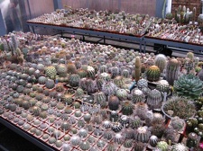 Выставка 1 мая 2009 (Донецк)