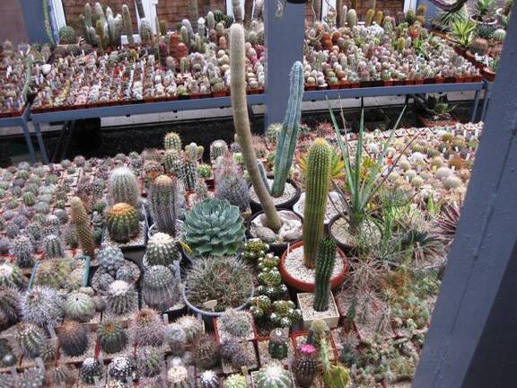 Выставка 1 мая 2009 (Донецк)