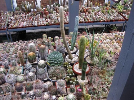 Выставка 1 мая 2009 (Донецк)