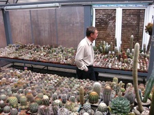 Выставка 1 мая 2009 (Донецк)