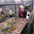 Выставка 1 мая 2009 (Донецк)