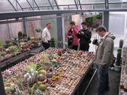 Выставка 1 мая 2009 (Донецк)