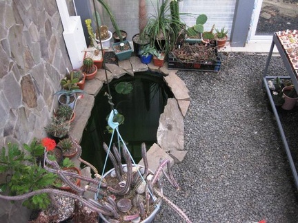 Выставка 1 мая 2009 (Донецк)