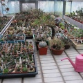 Выставка 1 мая 2009 (Донецк)