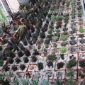 Выставка 1 мая 2009 (Донецк)