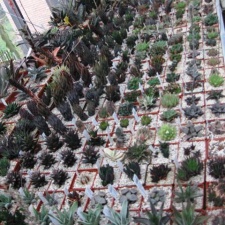 Выставка 1 мая 2009 (Донецк)