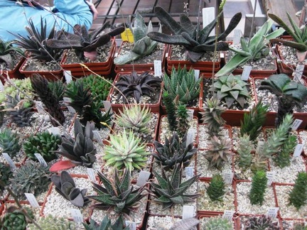 Выставка 1 мая 2009 (Донецк)