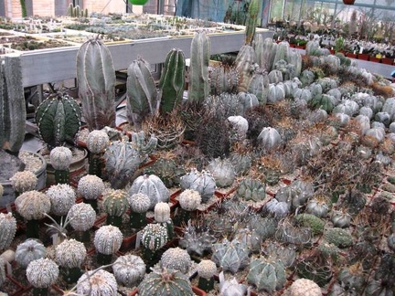 Выставка 1 мая 2009 (Донецк)