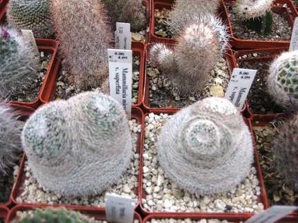 Выставка 1 мая 2009 (Донецк)