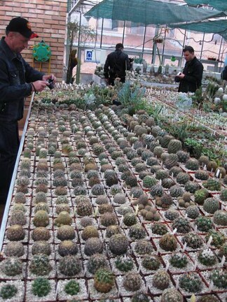 Выставка 1 мая 2009 (Донецк)