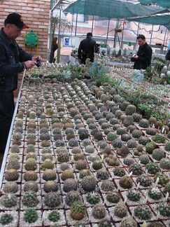 Выставка 1 мая 2009 (Донецк)