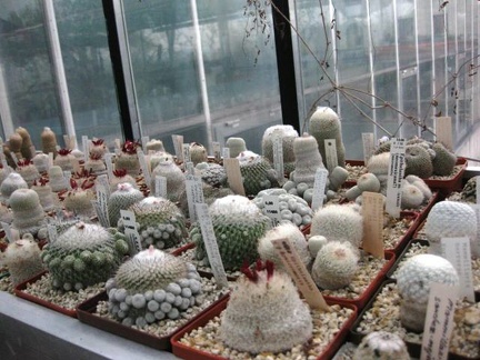 Выставка 1 мая 2009 (Донецк)