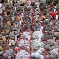 Выставка 1 мая 2009 (Донецк)