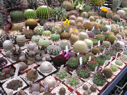 Выставка 1 мая 2009 (Донецк)