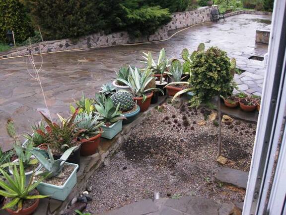 Выставка 1 мая 2009 (Донецк)