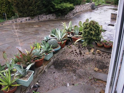 Выставка 1 мая 2009 (Донецк)