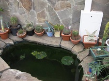 Выставка 1 мая 2009 (Донецк)