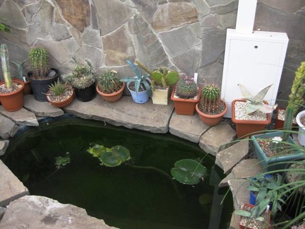 Выставка 1 мая 2009 (Донецк)