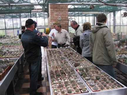 Выставка 1 мая 2009 (Донецк)