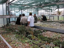 Выставка 1 мая 2009 (Донецк)