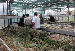 Выставка 1 мая 2009 (Донецк)