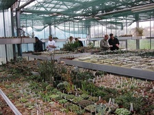 Выставка 1 мая 2009 (Донецк)