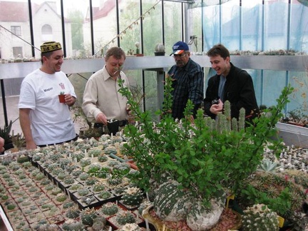 Выставка 1 мая 2009 (Донецк)