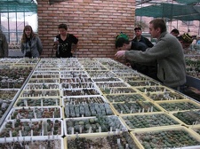 Выставка 1 мая 2009 (Донецк)