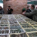 Выставка 1 мая 2009 (Донецк)