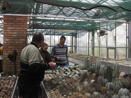 Выставка 1 мая 2009 (Донецк)