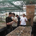 Выставка 1 мая 2009 (Донецк)