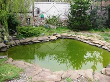 Выставка 1 мая 2009 (Донецк)