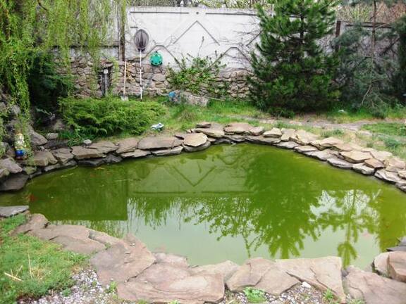 Выставка 1 мая 2009 (Донецк)