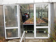 Выставка 1 мая 2009 (Донецк)