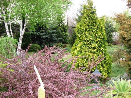 Выставка 1 мая 2009 (Донецк)