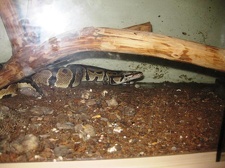 Выставка 1 мая 2009 (Донецк)